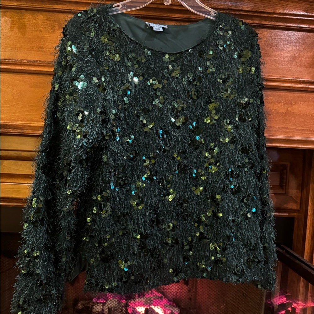 CeCe festive  Green Sweater